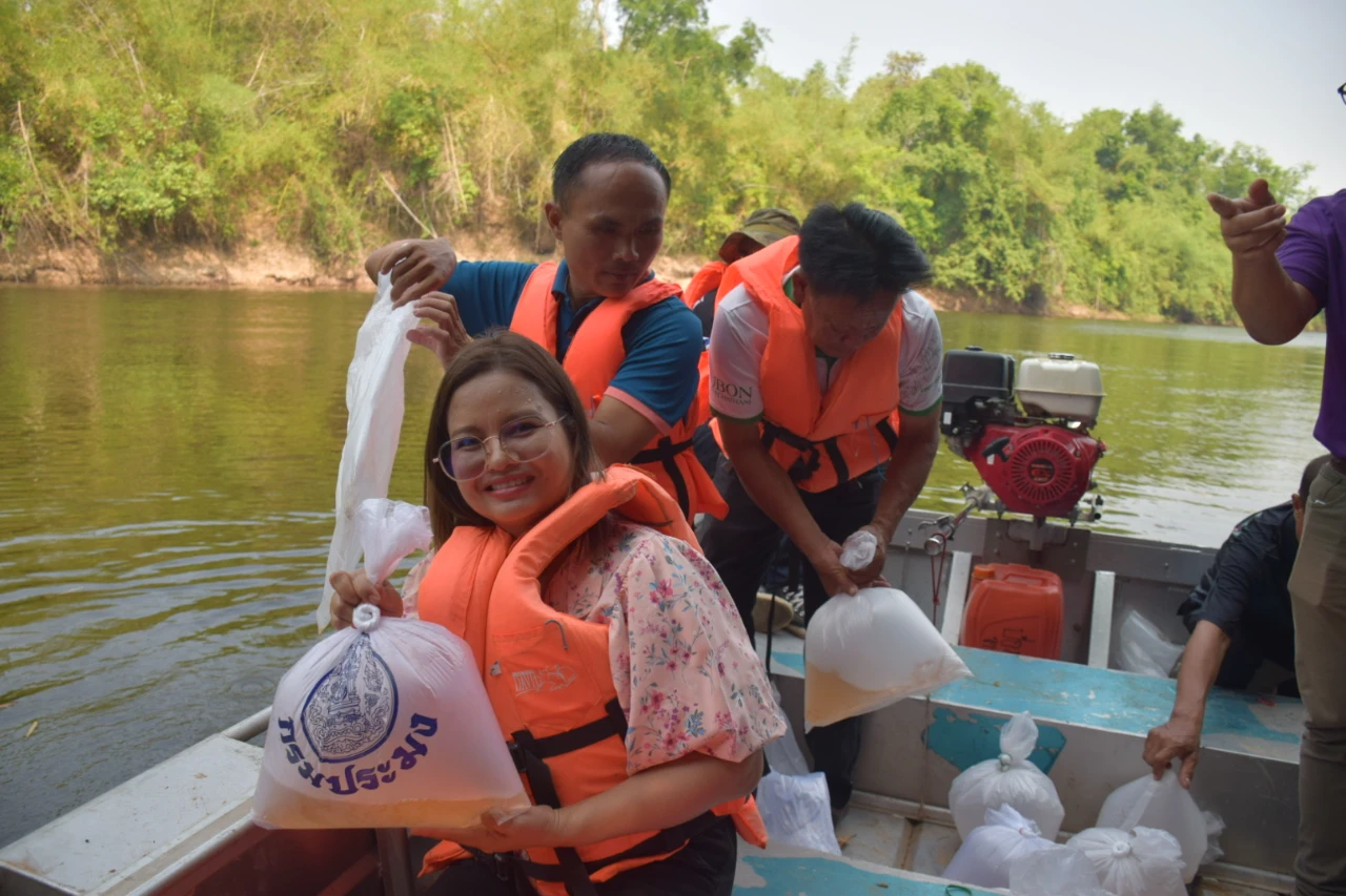 catalogs_file_1208_56_14_602758.webp