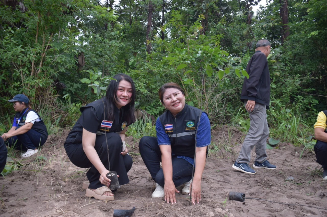 catalogs_file_1476_14_15_356480.webp