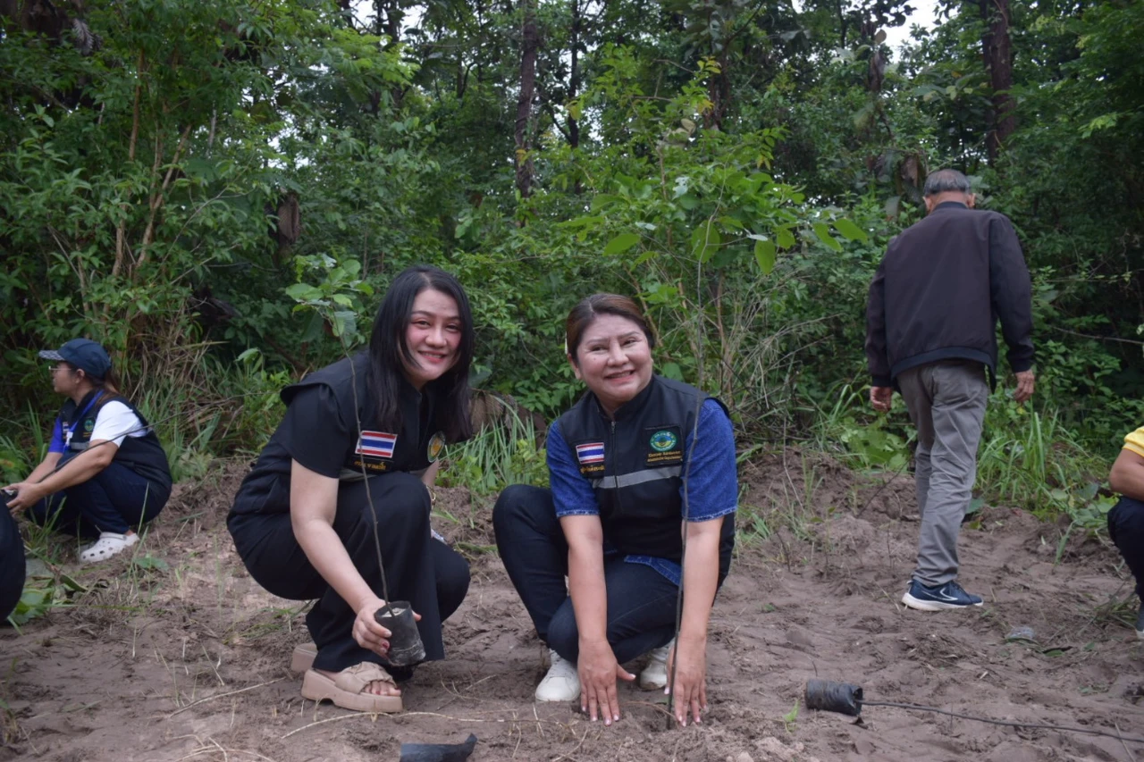 catalogs_file_1476_14_15_356674.webp
